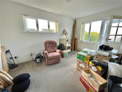 Picture 7